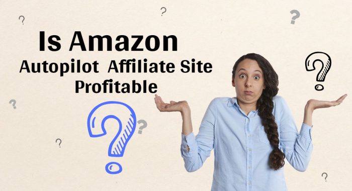 Is The Autopilot Amazon Affiliate Site Profitable